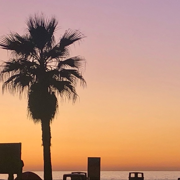 luckypalmtree